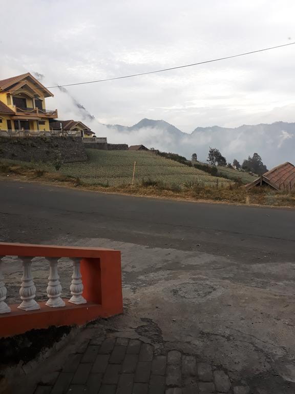 Sedulur Homestay Bromo Dış mekan fotoğraf