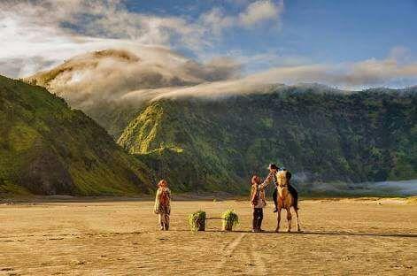 Sedulur Homestay Bromo Dış mekan fotoğraf