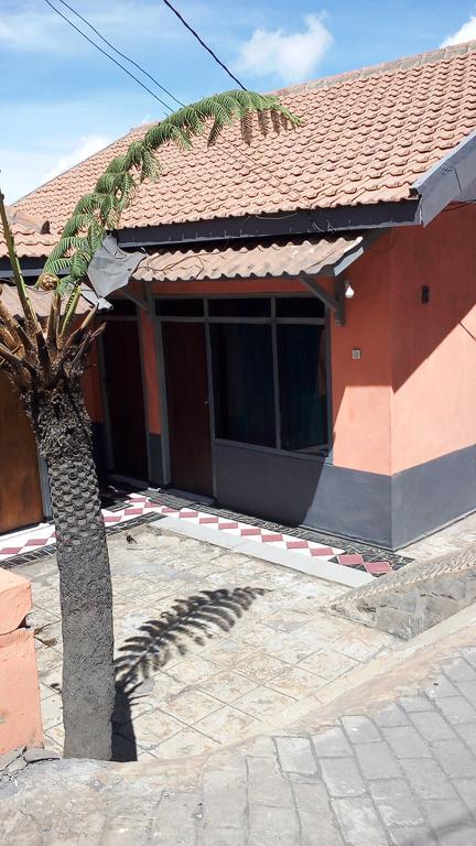 Sedulur Homestay Bromo Dış mekan fotoğraf